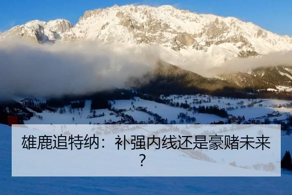 雄鹿追特纳：补强内线还是豪赌未来？（kaiyun）